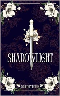 Cover of novel: ShadowLight